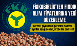 Fiskobirlik’ten Fındık Alım Fiyatlarına Yeni Düzenleme