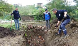 Giresun’da balık atıkları gübre ve yeme dönüşüyor