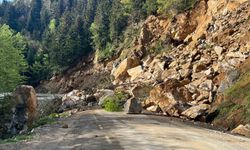 Giresun’da heyelan