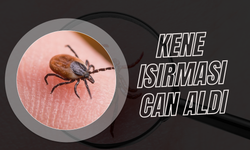 KENE ISIRMASI CAN ALDI: 1,5 YAŞINDAKİ METEHAN HAYATINI KAYBETTİ