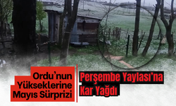 Ordu'nun Yükseklerine Mayıs Sürprizi: Perşembe Yaylası’na Kar Yağdı