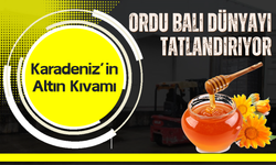 Ordu’nun Balı 55 Ülkeye Ulaştı: 590 Tonluk İhracat Başarısı