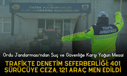 Ordu Jandarması'ndan Suç ve Güvenliğe Karşı Yoğun Mesai