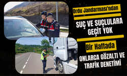 Ordu Jandarması'ndan Suç ve Suçlulara Geçit Yok: Bir Haftada Onlarca Gözaltı ve Trafik Denetimi
