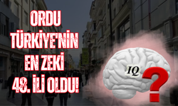 Ordu Türkiye'nin En Zeki 48. İli Oldu!
