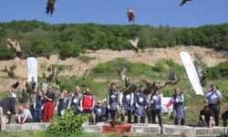 Ordu’da kokarcaya karşı sülün