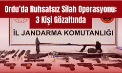 Ordu’da Ruhsatsız Silah Operasyonu: 3 Kişi Gözaltında