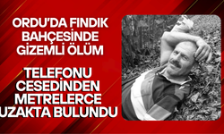 Ordu'da Şüpheli Ölüm: Patpat Kazası mı Cinayet mi?
