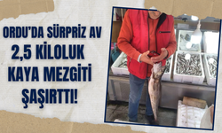Ordu’da Sürpriz Av: 2,5 Kiloluk Kaya Mezgiti Şaşırttı!