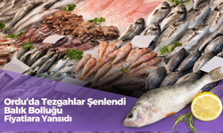 Ordu’da Tezgahlar Şenlendi: Balık Bolluğu Fiyatlara Yansıdı