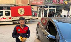 Otomobilin motor kısmına giren yavru kediyi itfaiye kurtardı