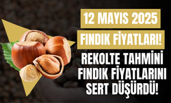 Rekolte Tahmini Fındık Fiyatlarını Sert Düşürdü!
