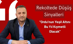 Rekoltede Düşüş Sinyalleri: “Ordu’nun Yeşil Altını Bu Yıl Kıymetli Olacak”