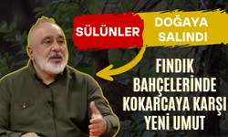 Sülünler Doğaya Salındı: Fındık Bahçelerinde Kokarcaya Karşı Yeni Umut