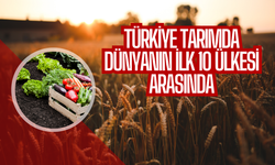 Türkiye Tarımda Dünyanın İlk 10 Ülkesi Arasında