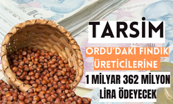 TARSİM, Ordu’daki Fındık Üreticilerine 1 Milyar 362 Milyon Lira Ödeyecek