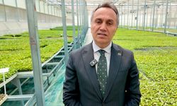 TOGÜ 1 milyon fideyi üreticiyle buluşturacak
