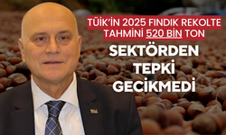 TÜİK’in 2025 Fındık Rekolte Tahmini 520 Bin Ton: Sektörden Tepki Gecikmedi