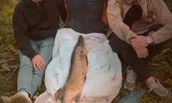 Tuttuğu 14 kiloluk turnayı bebek gibi kucağında salladı