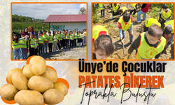 Ünye’de Çocuklar Patates Dikerek Toprakla Buluştu