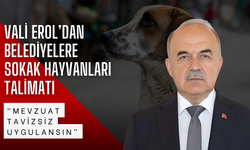 Vali Erol’dan Belediyelere Sokak Hayvanları Talimatı: “Mevzuat Tavizsiz Uygulansın”