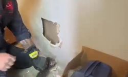 Yavruları duvar arasında mahsur kalan kedilerin imdadına itfaiye ekipleri yetişti