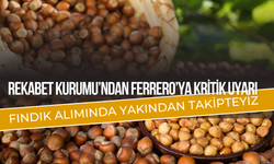 Rekabet Kurumu’ndan Ferrero’ya Kritik Uyarı: Fındık Alımında Yakından Takipteyiz