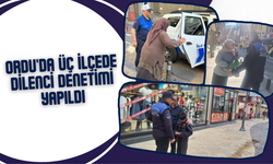 Ordu'da Üç İlçede Dilenci Denetimi Yapıldı