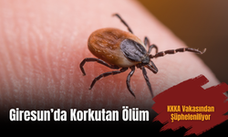 Komşu İlde KKKA Şüphesiyle Can Kaybı