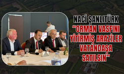Naci Şanlıtürk: “Orman Vasfını Yitirmiş Araziler Vatandaşa Satılsın”