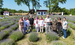 Sinop’ta lavanta kokulu gastronomi buluşması: Yöresel lezzetlere mor dokunuş