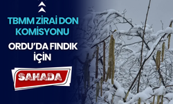 TBMM Zirai Don Komisyonu Ordu’da Fındık İçin Sahada