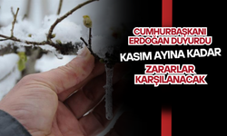 Cumhurbaşkanı Erdoğan Duyurdu: Kasım Ayına Kadar Zararlar Karşılanacak