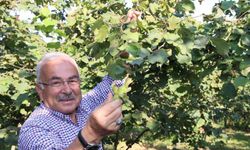 Başkan Güler’den Ferrero’ya karşı tarihi fındık mücadelesi: "Bu bir milli duruştur"