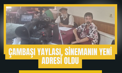 Çambaşı Yaylası, Sinemanın Yeni Adresi Oldu