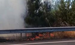 Düğün konvoyundaki meşale çamlık alanı yaktı