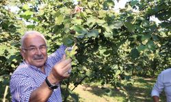 Ferrero’ya ’yasak’ geldi