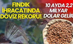 Fındık İhracatında Döviz Rekoru! 10 Ayda 2,2 Milyar Dolar Gelir