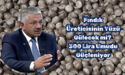 Fındık Üreticisinin Yüzü Gülecek mi? 300 Lira Umudu Güçleniyor