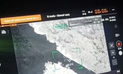 Kaybolan 3 büyükbaş hayvan termal dronla bulundu