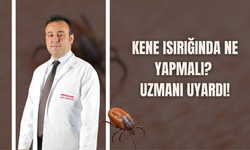 Kene Isırığında Ne Yapmalı? Uzmanı Uyardı!