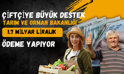 Çiftçiye Büyük Destek: Tarım ve Orman Bakanlığı 1.7 Milyar Liralık Ödeme Yapıyor