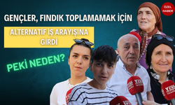 Gençler, Fındık Toplamamak İçin Alternatif İş Arayışına Girdi