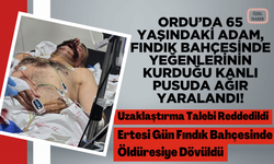 Ordu’da 65 Yaşındaki Adam, Fındık Bahçesinde Yeğenlerinin Kurduğu Kanlı Pusuda Ağır Yaralandı!