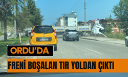 Ordu’da Freni Boşalan Tır Yoldan Çıktı