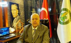 Samsun’da fındık rekoltesi tahmini belli oldu: 91 bin 456 ton