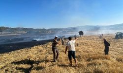 Sinop’ta anız yangını: 60 balya saman kül oldu