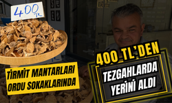 Tirmit Mantarları Ordu Sokaklarında 400 TL’den Tezgahlarda Yerini Aldı