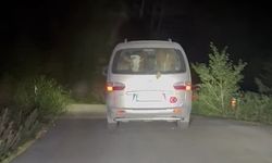 Yangında mahsur kalan hayvanları tahliye ettiler