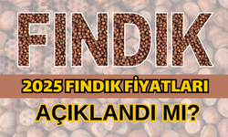 2025 Fındık Fiyatları Açıklandı Mı?